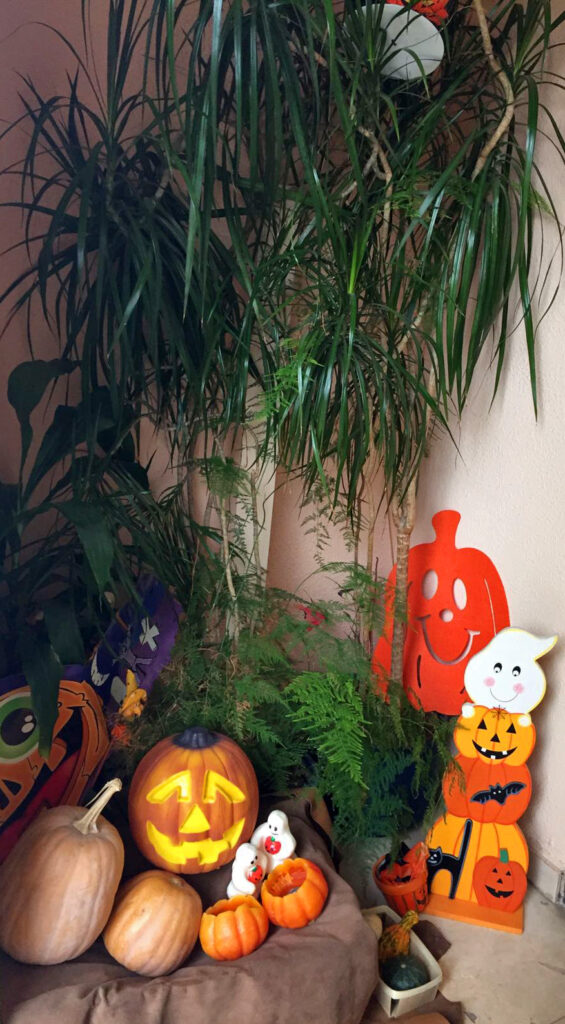 Halloween Escuela Best